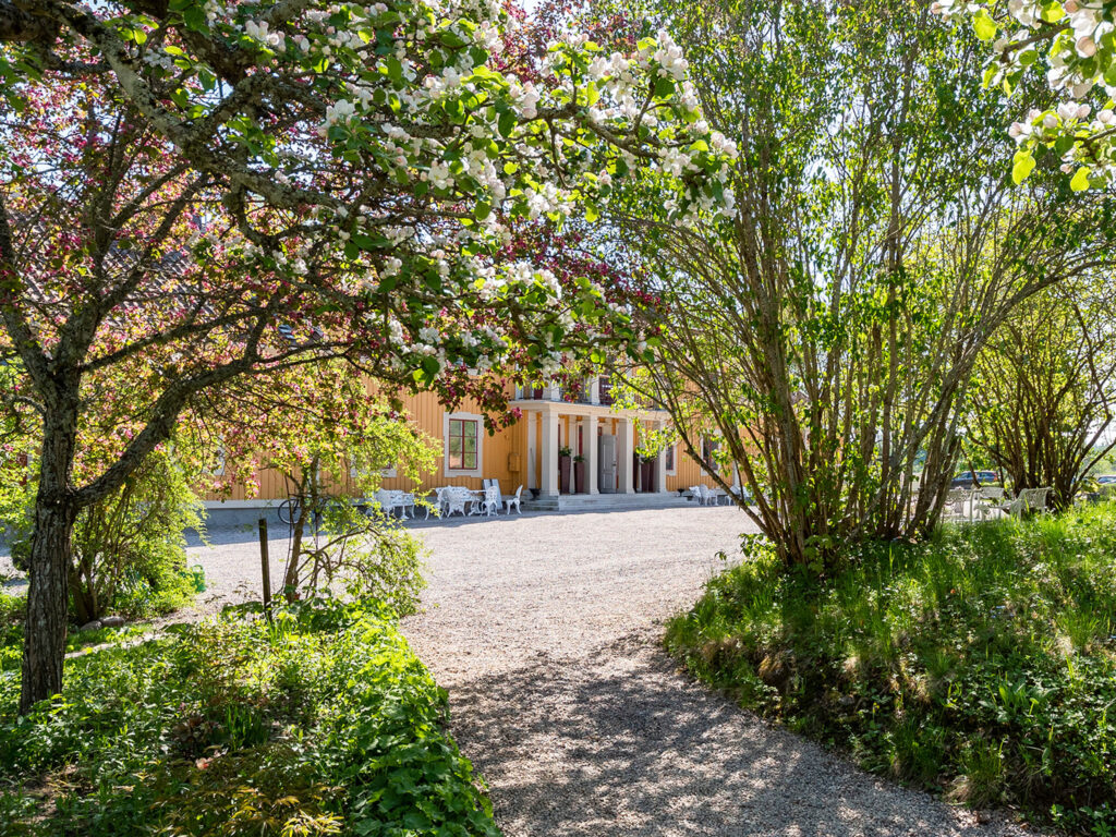 spring view